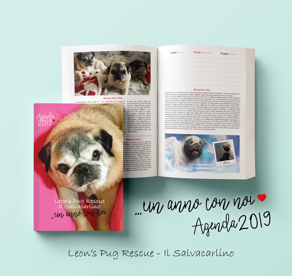 agenda-3d-2019