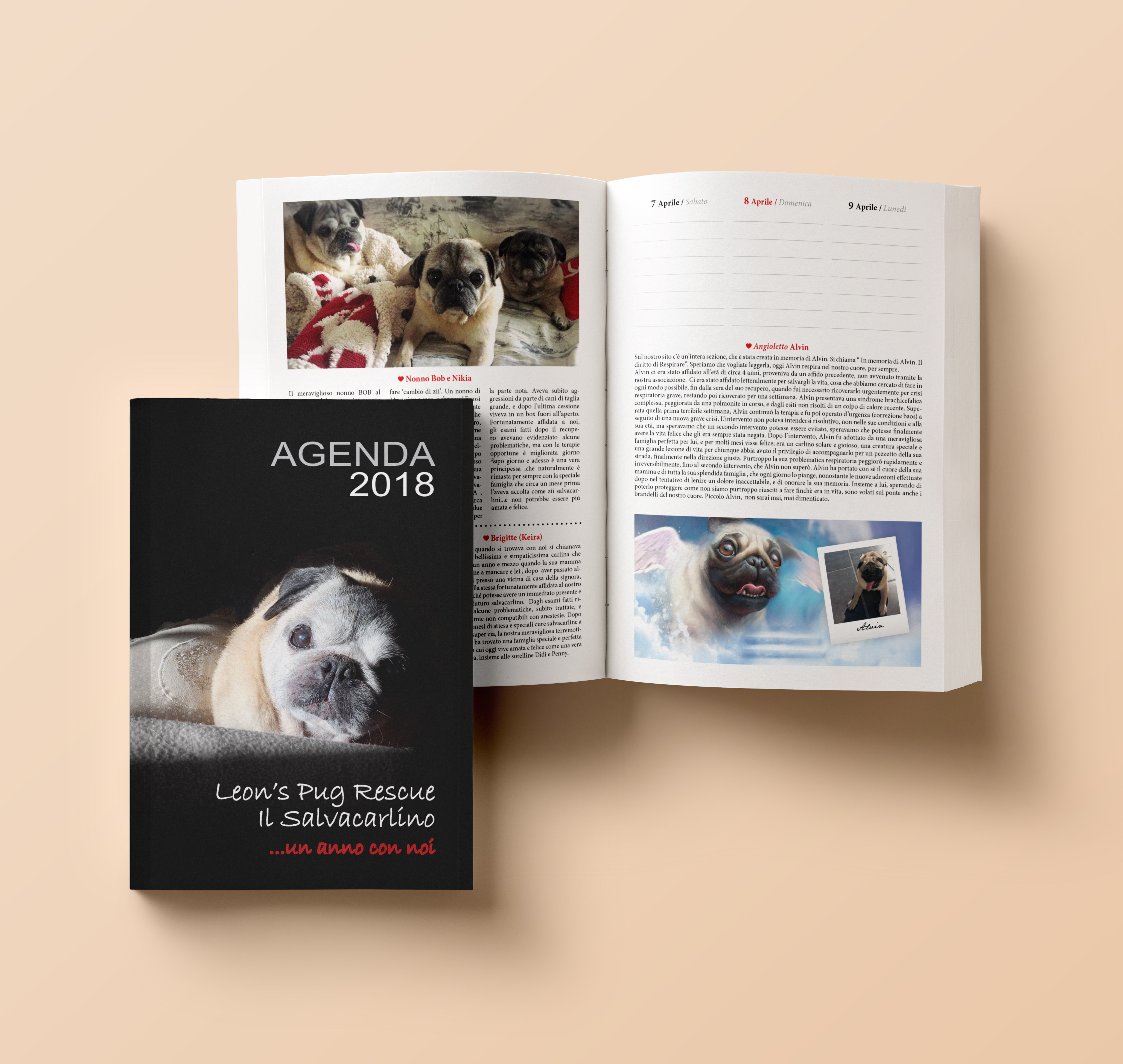 LEON'S PUG RESCUE SALVACARLINO- AGENDA 2018
