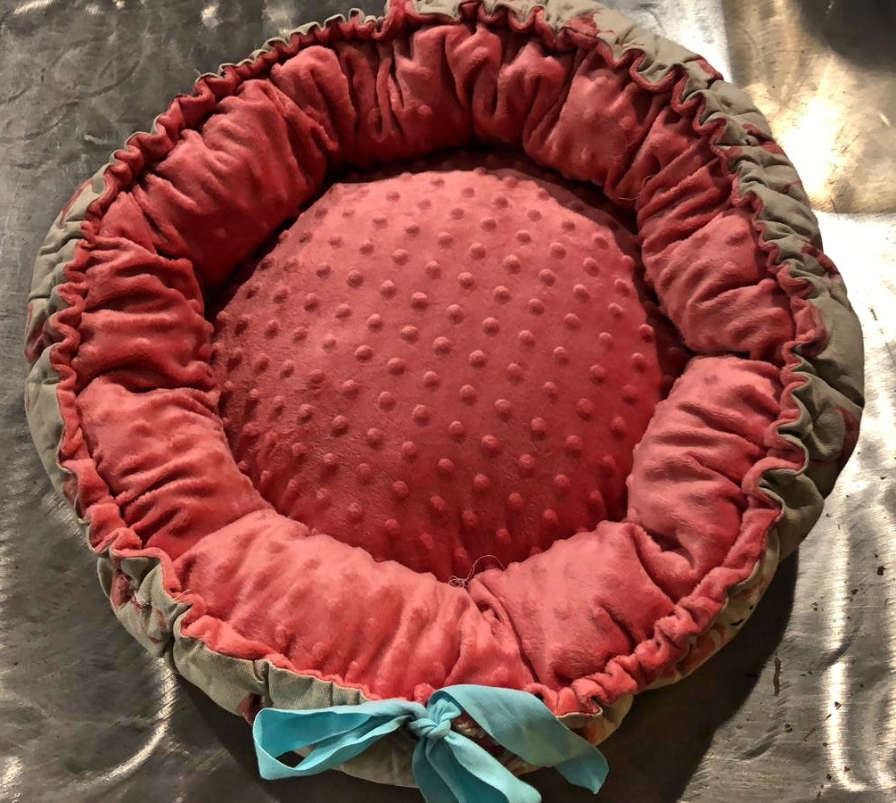 CUCCIA APRICOT FIOCCO AZZURRO interamente realizzata a mano NUMERO PEZZI DISPONIBILI: 1 misura PICCOLA CONTRIBUTO MINIMO RICHIESTO : € 50 inclusa spedizione PER ORDINARE: Invia un'email a leonspugrescue@gmail.com , specificando ordine CON NOME ARTICOLO e indirizzo di spedizione. Invia il tuo contributo tramite bonifico bancario a: LEON S PUG RESCUE SALVACARLINO UNICREDIT ( MILANO) IT 94 D 02008 01623 000101415047 oppure puoi versare il tuo contributo utilizzando l'opzione paypal direttamente accessibile dal nostro sito internet PERFAVORE CONTATTACI PER ACCERTARTI CHE L'ARTICOLO SIA ANCORA DISPONIBILE PRIMA DI INVIARE IL TUO CONTRIBUTO !