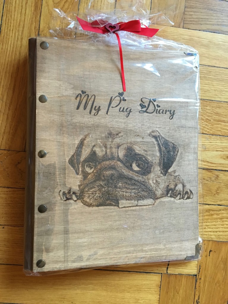MY PUG DIARY!