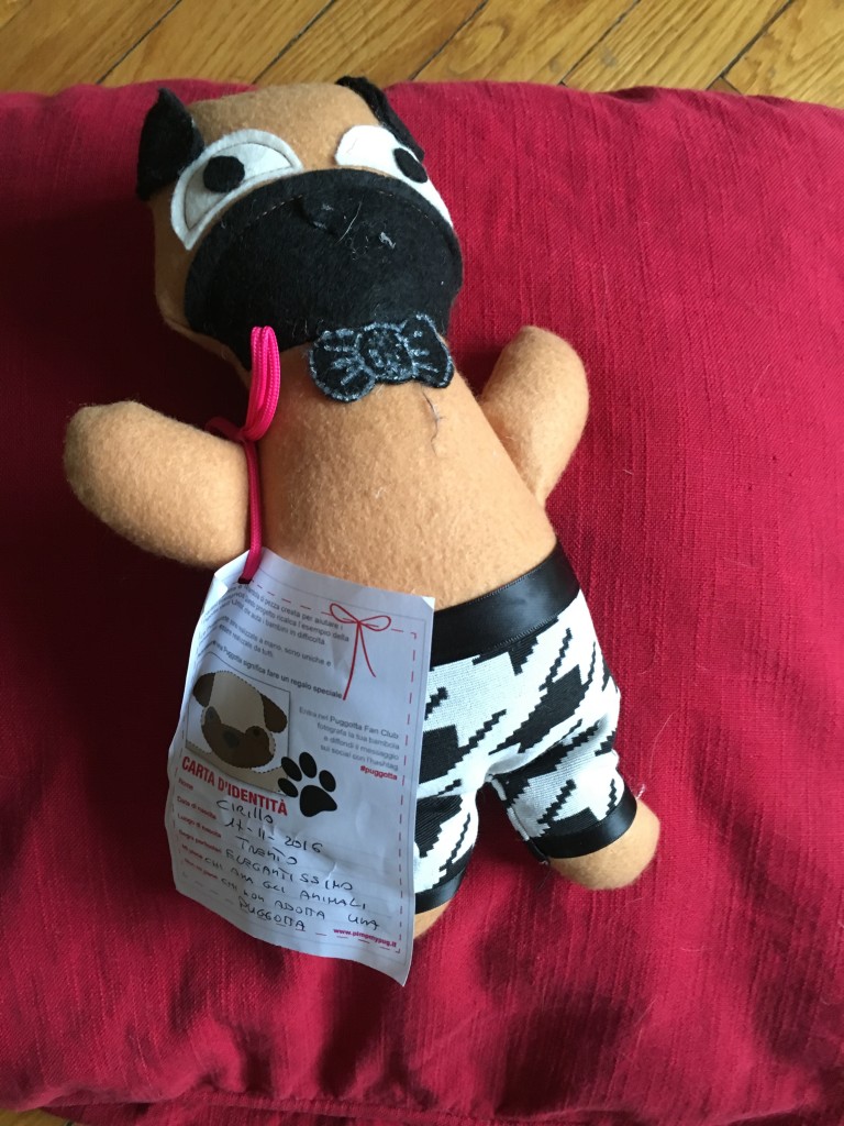 PUGGOTTA CIRILLO DISPONIBILITA' : 1 CONTRIBUTO MINIMO RICHIESTO : € 20 inclusa spedizione PER ORDINARE: Invia un'email a leonspugrescue@gmail.com , specificando ordine CON NOME ARTICOLO e indirizzo di spedizione. Invia il tuo contributo tramite bonifico bancario a: LEON S PUG RESCUE SALVACARLINO UNICREDIT ( MILANO) IT 94 D 02008 01623 000101415047 oppure puoi versare il tuo contributo utilizzando l'opzione paypal direttamente accessibile dal nostro sito internet PERFAVORE CONTATTACI PER ACCERTARTI CHE L'ARTICOLO SIA ANCORA DISPONIBILE PRIMA DI INVIARE IL TUO CONTRIBUTO !