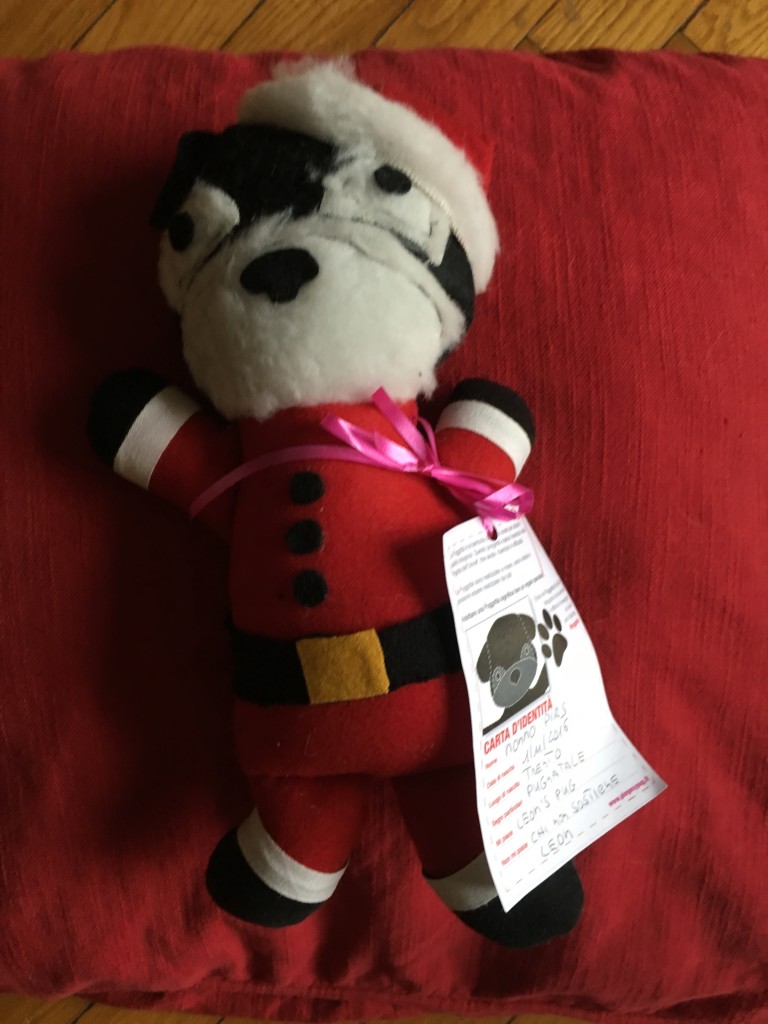 PUGGOTTA NONNO PIRS DISPONIBILITA' : 1 CONTRIBUTO MINIMO RICHIESTO : € 20 inclusa spedizione PER ORDINARE: Invia un'email a leonspugrescue@gmail.com , specificando ordine CON NOME ARTICOLO e indirizzo di spedizione. Invia il tuo contributo tramite bonifico bancario a: LEON S PUG RESCUE SALVACARLINO UNICREDIT ( MILANO) IT 94 D 02008 01623 000101415047 oppure puoi versare il tuo contributo utilizzando l'opzione paypal direttamente accessibile dal nostro sito internet PERFAVORE CONTATTACI PER ACCERTARTI CHE L'ARTICOLO SIA ANCORA DISPONIBILE PRIMA DI INVIARE IL TUO CONTRIBUTO !
