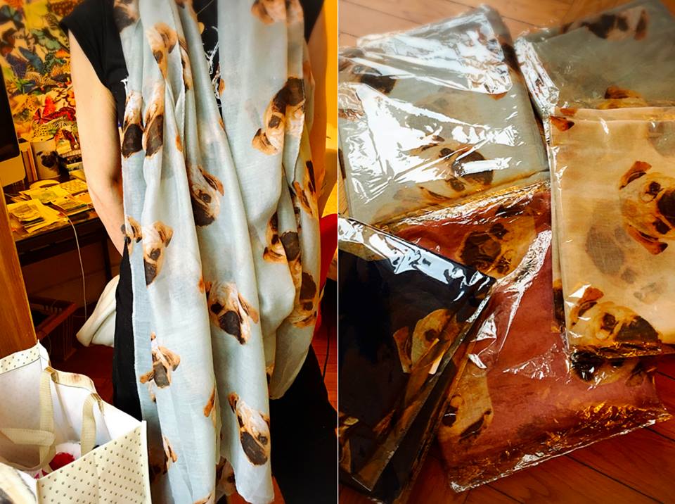 meravigliosa SCIARPA FANTASIA CARLINA in voile di cotone nuove, donate al Rescue dalla speciale mamma salvacarlina Luana NUMERO PEZZI DISPONIBILI : n 2 BLU contributo minimo richiesto € 30 inclusa la spedizione