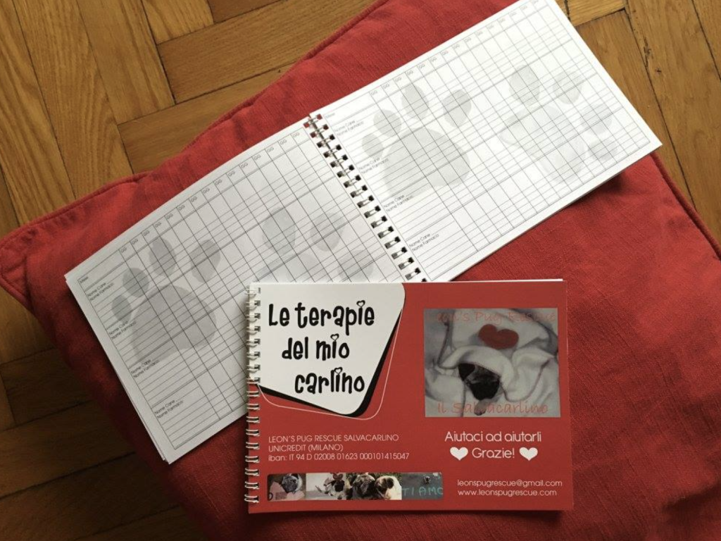 QUADERNO ' LE TERAPIE DEL MIO CARLINO'
