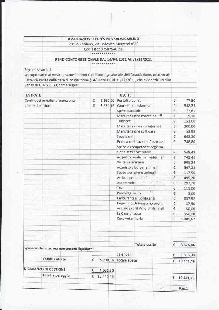 BILANCIO 2011 PAG 1