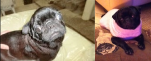 EMMA PRIMA E DOPO