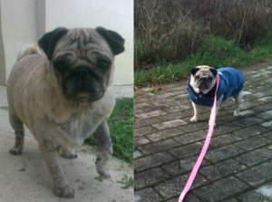 GRETA PRIMA E DOPO