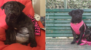 MINA PRIMA E DOPO