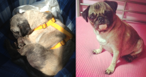 NINA PRIMA E DOPO