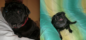 SISSY PRIMA E DOPO