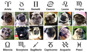 Immagine_horoscopug