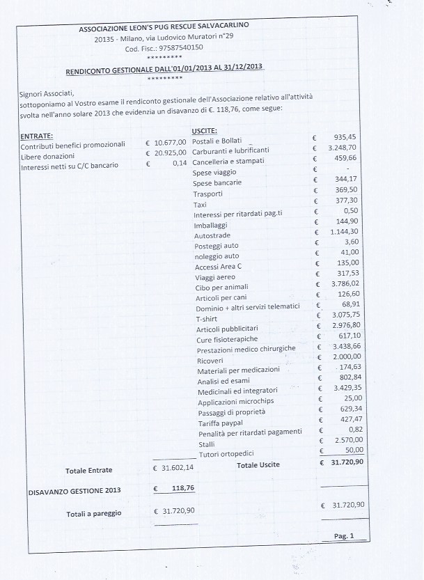 bilancio-2013-pag-1